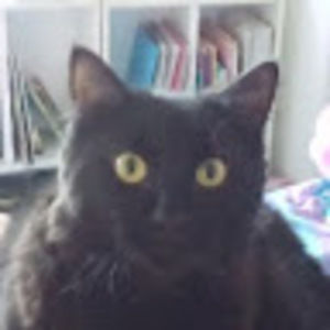 Meet your Posher, Serra